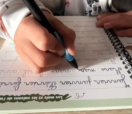 Les 4 Livres éducatif de L'école Montessori